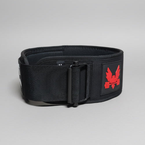 Freedom strength 4" nylon weightlifting belt 